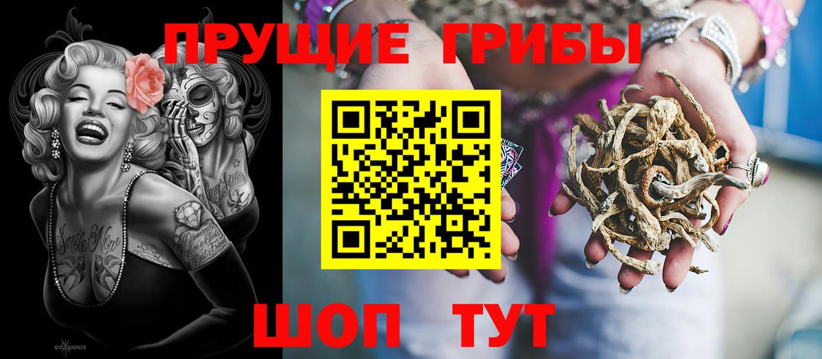 Псилоцибиновые грибы мицелий Кинешма