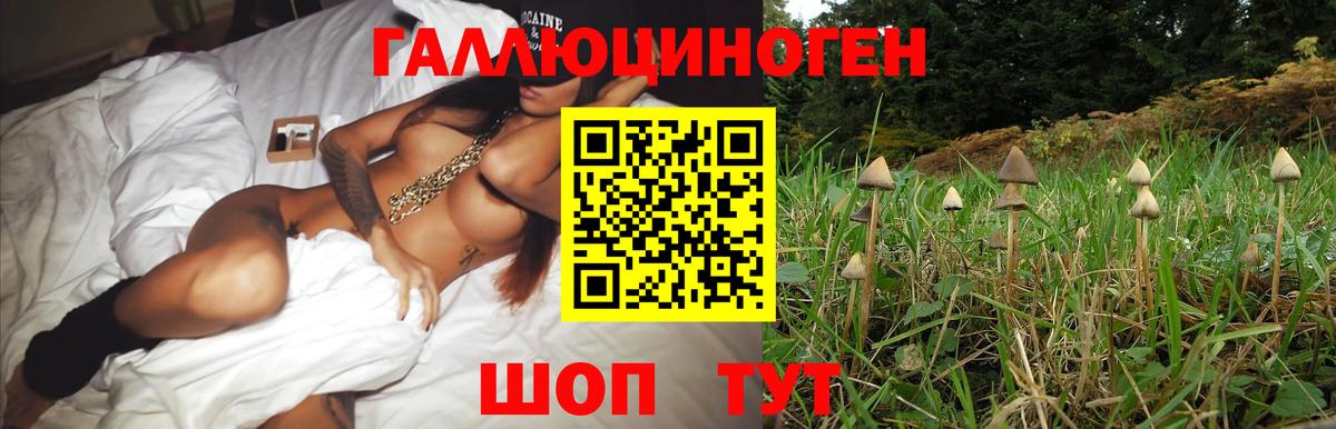Галлюциногенные грибы Magic Shrooms  Вход с VPN  Псилоцибиновые грибы Magic Shrooms  Кинешма 